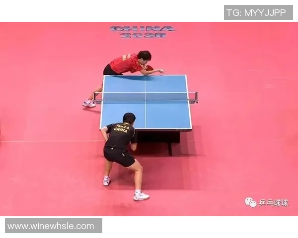 杭州乒乓球队在世界锦标赛中的默契配合与战术分析