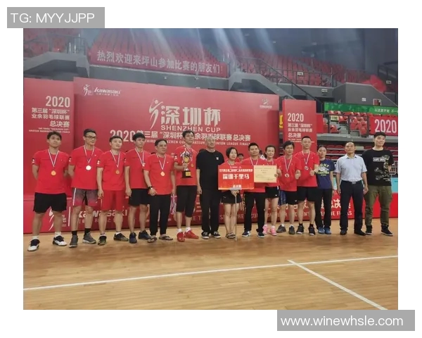 深圳羽毛球队状态对比分析及未来发展趋势探讨