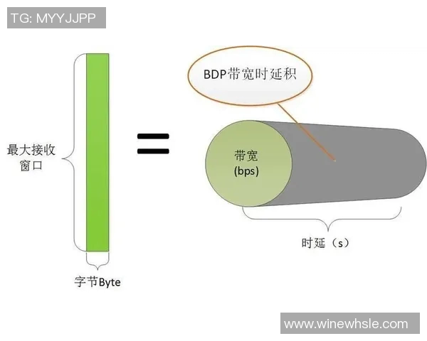 王芳独家分享网球心得与技巧助你提升球技的全面指南
