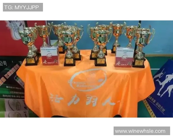 羽毛球心理素质评比揭晓杭州羽毛球队荣登第三名引关注