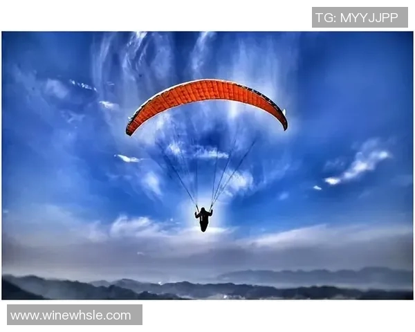 重庆极限运动队荣登全国极限运动状态排行榜第六名引发关注 重庆极限运动队荣登全国极限运动状态排行榜第六名引发关注