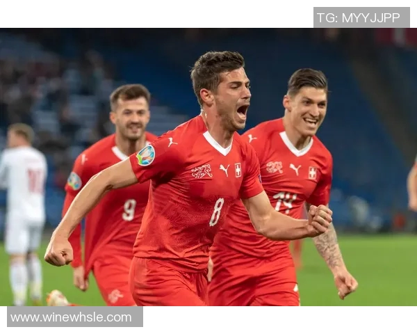 北爱尔兰与瑞士精彩对决视频回顾及赛后分析