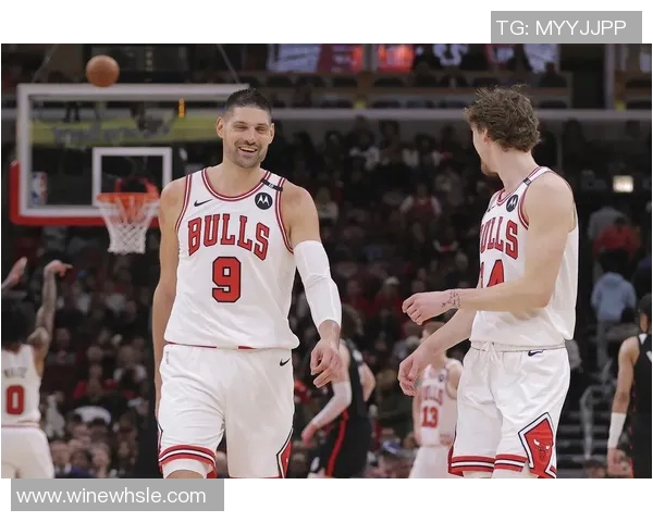 尼古拉武切维奇的艺术之旅与创作理念探讨