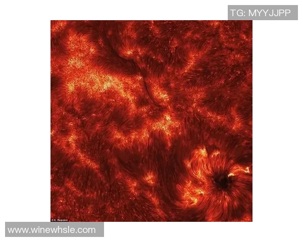 太阳与超音速的精彩对决录像回顾与分析，探索速度与光辉的碰撞瞬间