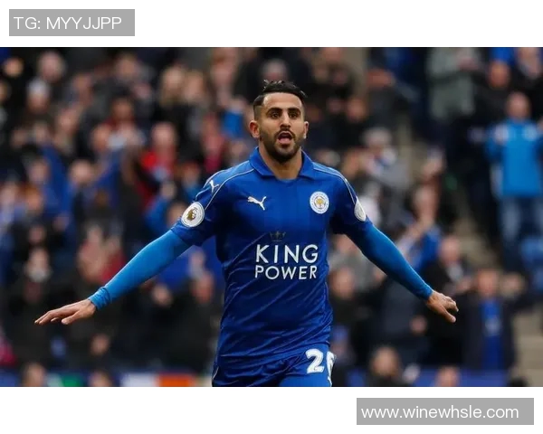 德国队与阿尔及利亚的激烈对决揭示足球战术与团队合作的精彩瞬间