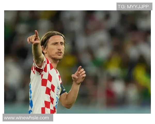 莫德里奇：从克罗地亚足球天才到世界足坛传奇的辉煌历程与成就分析