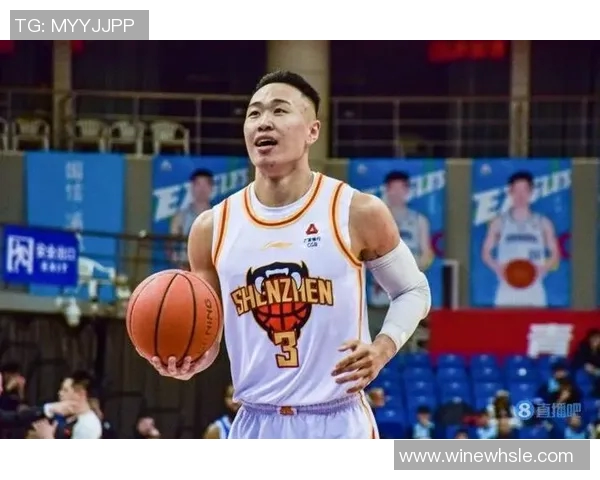 贺希宁：从篮球新星到职业生涯巅峰的奋斗之路与成长故事