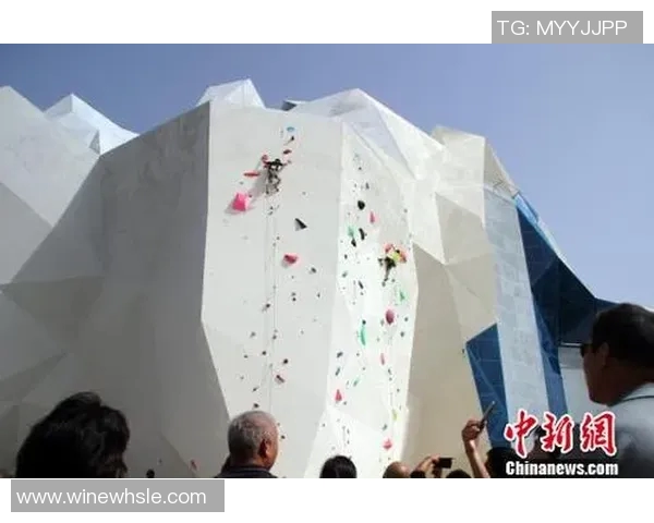 重庆攀岩队耐力表现数据分析揭示训练效果与竞技水平提升的关系 重庆攀岩队耐力表现数据分析揭示训练效果与竞技水平提升的关系