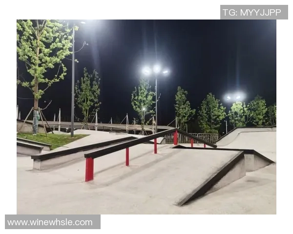 重庆滑板队的阵地战与城市文化的交融探索