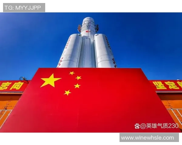 金砖国家峰会中中国与印度的战略博弈与合作前景分析