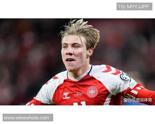 霍伊伦的传奇人生与艺术成就探索：从创作到影响的全景回顾