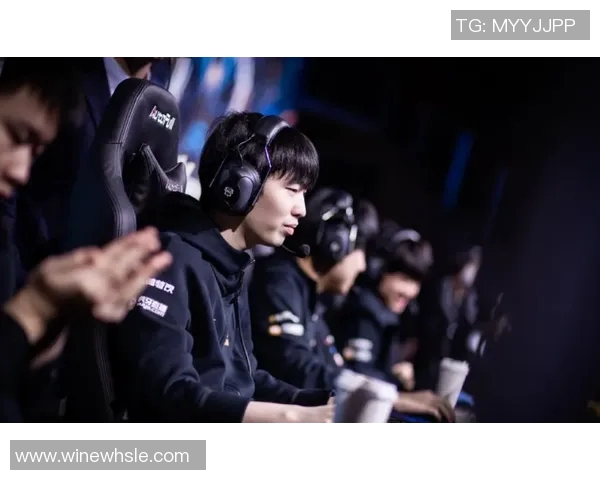 高校联赛分析：RNG团队意识的优劣与未来发展方向探讨