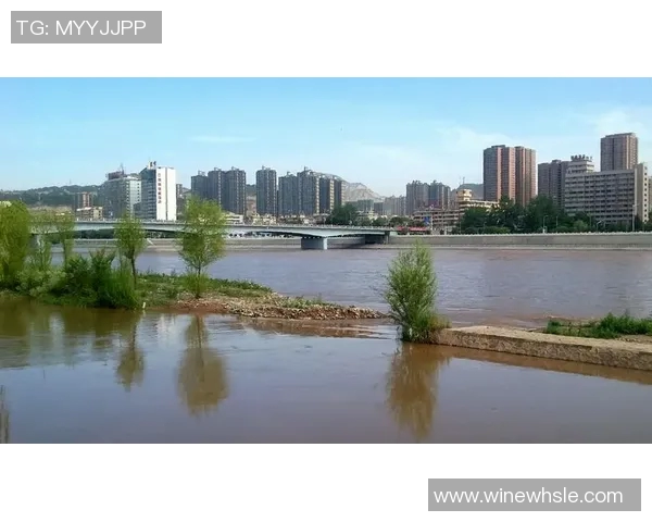 高雄九太与裕隆激战正酣直播盛况全程回顾与精彩瞬间分享